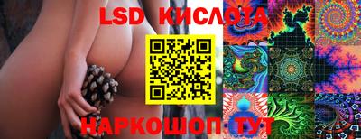 PSILOCYBIN Малоярославец