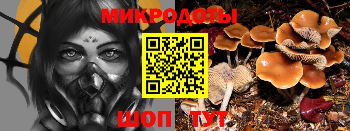 Семилуки  Псилоцибиновые грибы Cubensis  Псилоцибиновые грибы Magic Shrooms  Вход с VPN 